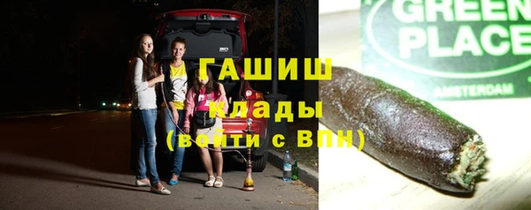индика Рославль
