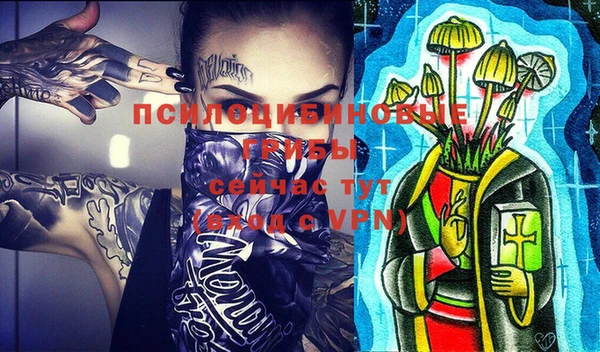 индика Рославль