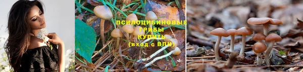 индика Рославль