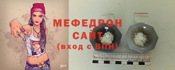 индика Рославль
