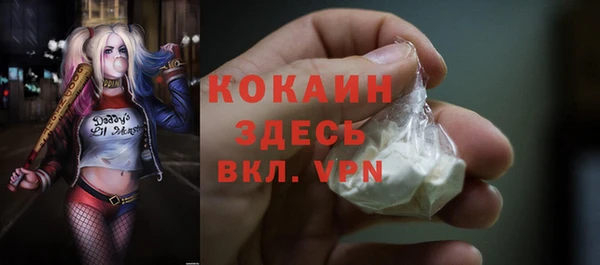индика Рославль