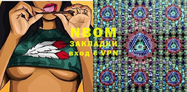 индика Рославль