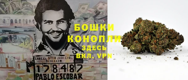 индика Рославль